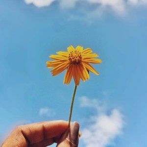 Meet your Posher, Oksana